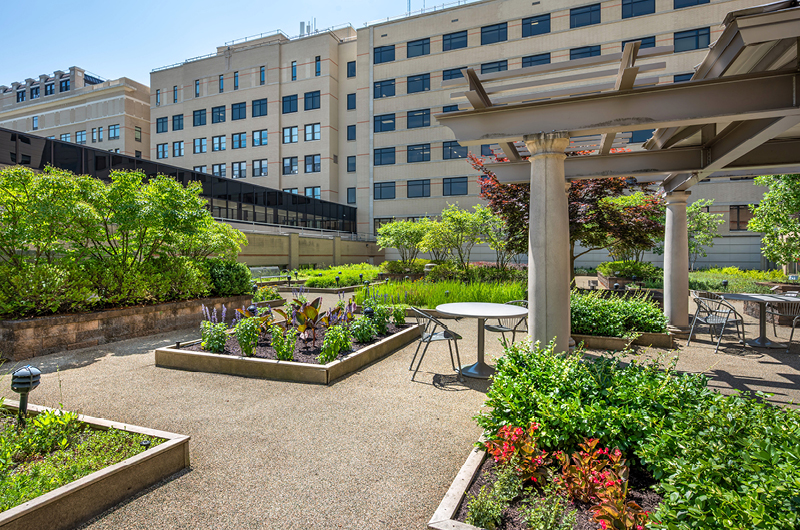 Courtyard